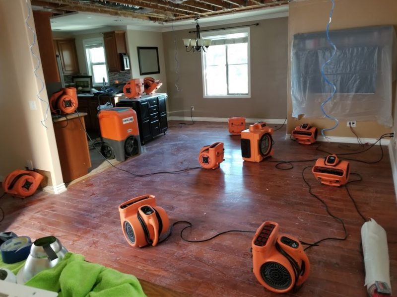 mold removal fans in home