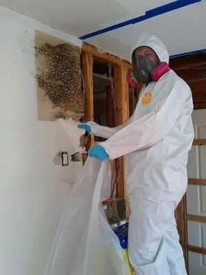 mold removal techinician in safety suit