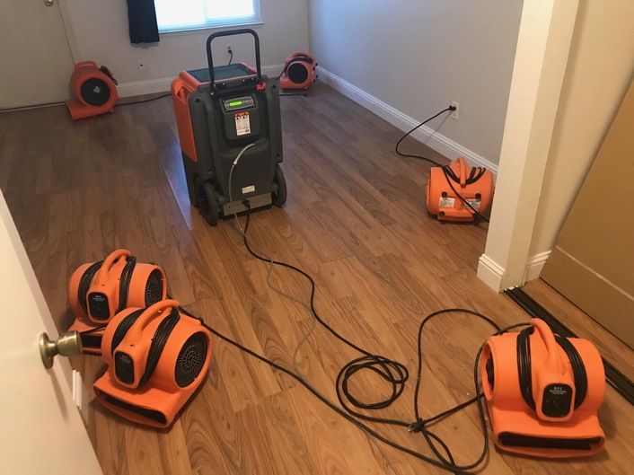 Water damage and mold removal in a home